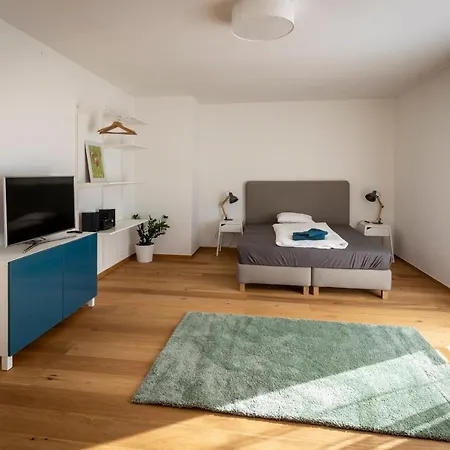 Flataid Apartmenthaus Brauhausstrasse *