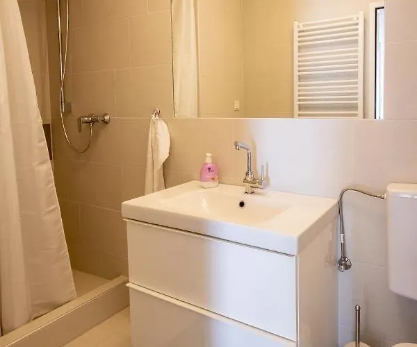 Flataid Apartmenthaus Brauhausstrasse * Graz